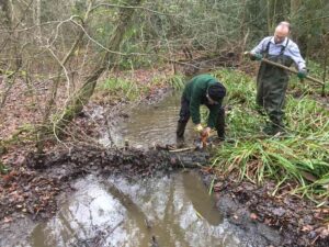 Pond Dipping in Spring Pond / Fri, Aug 7, 2026