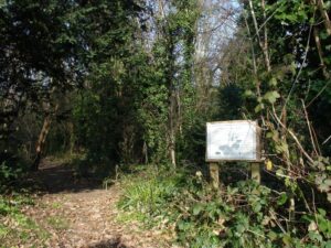 Bentley Old Vicarage Nature Reserve