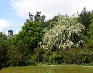 Bentley Priory