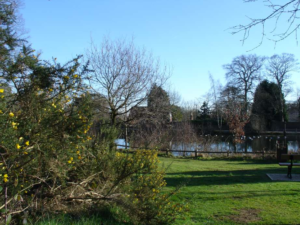 Stanmore Little Common