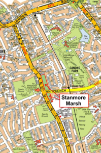 Stanmore Marsh