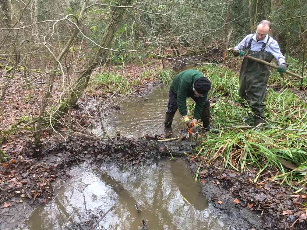 Conservation Working Party Stanmore Common – Every Wed & Sun 10:30 AM to 3:00 PM