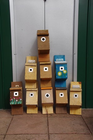 Free birdboxes!