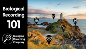 Biological Recording 101: Tuesday 20th October 2026